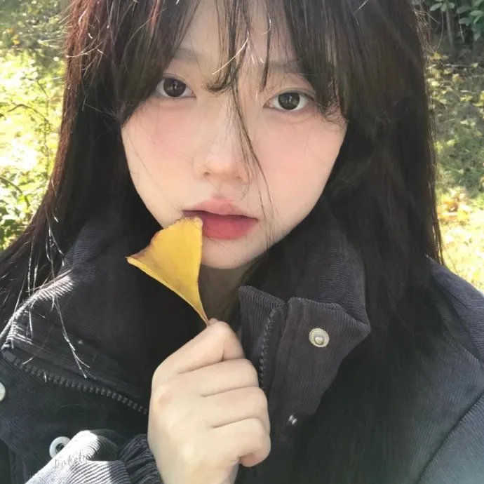 极地漫步